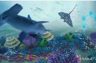 ayx大厅手机版2024最新版